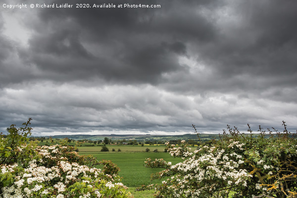Towards Newsham (Richmondshire) under a Stormy Sky Picture Board by Richard Laidler