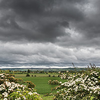 Buy canvas prints of Towards Newsham (Richmondshire) under a Stormy Sky by Richard Laidler