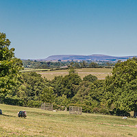 Buy canvas prints of Towards Cross Fell from near Mortham Tower by Richard Laidler
