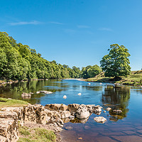 Buy canvas prints of The River Tees at Rokeby in Summer (2) by Richard Laidler
