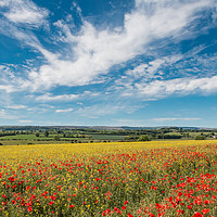 Buy canvas prints of Poppies, Rape and a Big Sky by Richard Laidler