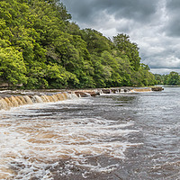 Buy canvas prints of Whorlton Cascades Panorama by Richard Laidler