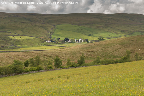 Marshes Gill Farm, Harwood, Upper Teesdale Picture Board by Richard Laidler