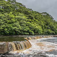 Buy canvas prints of Whorlton Cascades in Spate by Richard Laidler