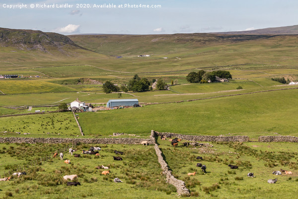 Upper Teesdale in Summer (2) Picture Board by Richard Laidler