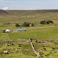 Buy canvas prints of Upper Teesdale in Summer (2) by Richard Laidler
