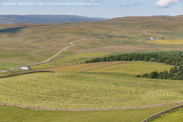 Upper Teesdale in Summer (3) Picture Board by Richard Laidler