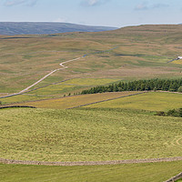 Buy canvas prints of Upper Teesdale in Summer (3) by Richard Laidler
