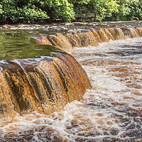 Buy canvas prints of Whorlton Cascades in Flood, Teesdale by Richard Laidler