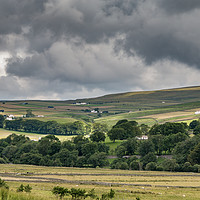 Buy canvas prints of Across to Ettersgill from Holwick, Upper Teesdale by Richard Laidler