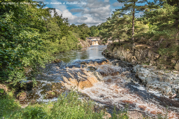 Low Force Waterfall, Teesdale in Summer (1) Picture Board by Richard Laidler