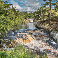 Buy canvas prints of Low Force Waterfall, Teesdale in Summer (1) by Richard Laidler