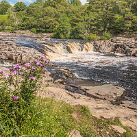 Buy canvas prints of Low Force Waterfall, Teesdale in Summer (2) by Richard Laidler