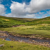 Buy canvas prints of Hudeshope Bright Spot, Upper Teesdale by Richard Laidler