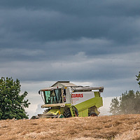 Buy canvas prints of OSR Combining at Hutton Hall by Richard Laidler