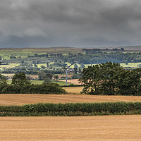 Buy canvas prints of Newsham to Barningham Bright Interval Panorama by Richard Laidler