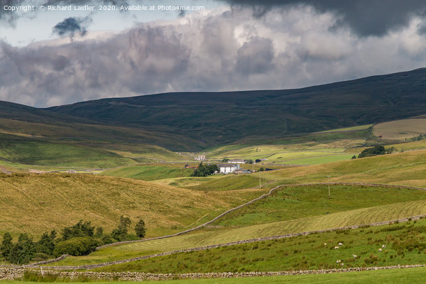 Stoney Hill Farm, Harwood, Upper Teesdale Picture Board by Richard Laidler