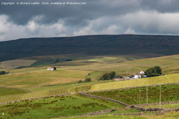 Lingy Hill Farm, Harwood, Upper Teesdale Picture Board by Richard Laidler