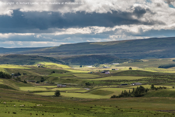 Sunshine and shadows on Upper Teesdale Picture Board by Richard Laidler