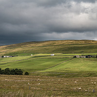 Buy canvas prints of Harwood Hill Farms, Upper Teesdale by Richard Laidler