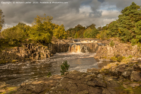 Autumn Colours and Dramatic Light at Low Force Picture Board by Richard Laidler
