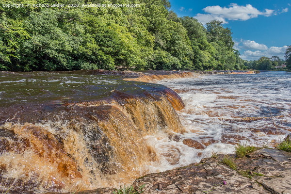 A Swollen River Tees at Whorlton Picture Board by Richard Laidler