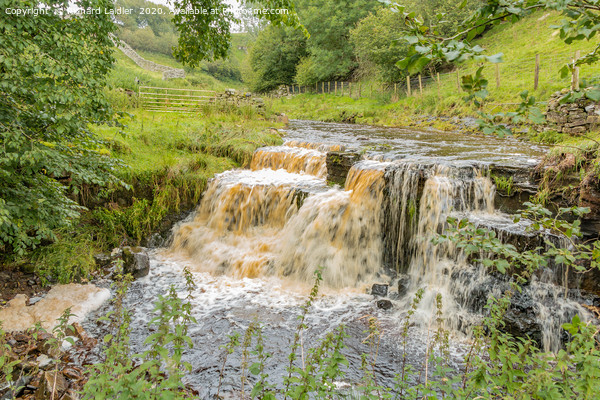 A Swollen Beck Waterfall in Upper Teesdale Picture Board by Richard Laidler