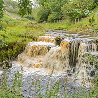 Buy canvas prints of A Swollen Beck Waterfall in Upper Teesdale by Richard Laidler