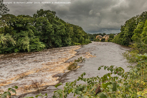 A Swollen River Tees at Barnard Castle Picture Board by Richard Laidler