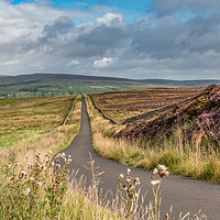 Buy canvas prints of Down into Teesdale from Botany Farm 1 by Richard Laidler