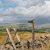 Buy canvas prints of Over to Teesdale from above Grassholme 1 by Richard Laidler