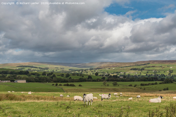 Upper Teesdale from the Kelton Road Picture Board by Richard Laidler