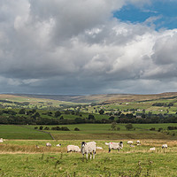 Buy canvas prints of Upper Teesdale from the Kelton Road by Richard Laidler