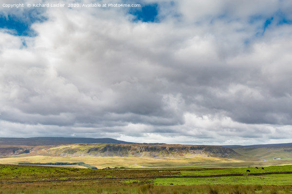 Cronkley Scar, Teesdale from Wool Pits Hill Picture Board by Richard Laidler