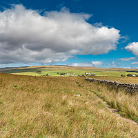 Buy canvas prints of Forest in Teesdale from the Pennine Way by Richard Laidler