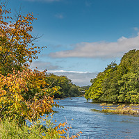 Buy canvas prints of Early Autumn Hues at Wycliffe, Teesdale by Richard Laidler