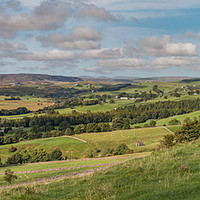 Buy canvas prints of Upper Teesdale Early Autumn Panorama by Richard Laidler