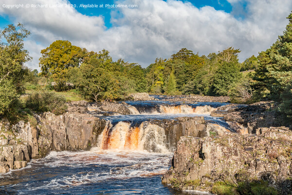 Autumn Tints at Low Force Waterfall Sep 2020 Picture Board by Richard Laidler