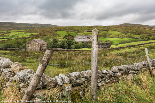 To Hardraw Eight Miles on the Pennine Way Picture Board by Richard Laidler