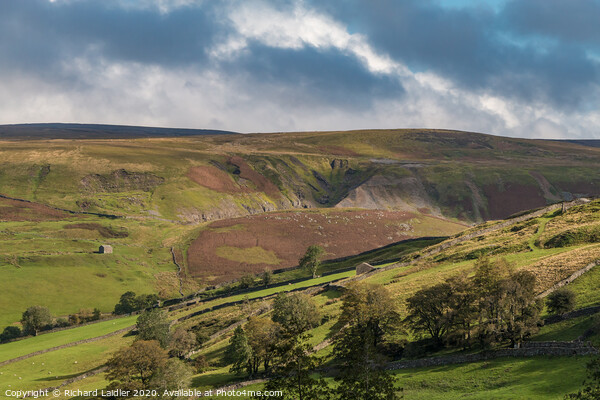 Beldi Hill Lead Mine Remains, Swaledale Picture Board by Richard Laidler