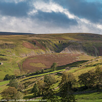 Buy canvas prints of Beldi Hill Lead Mine Remains, Swaledale by Richard Laidler
