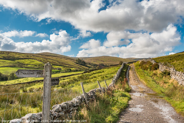 The Pennine Way down from Great Shunner Fell Picture Board by Richard Laidler