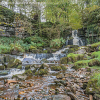 Buy canvas prints of Scar House Waterfall 2 by Richard Laidler