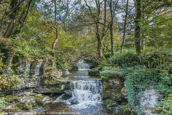 Cray Gill, Wharfedale, Yorkshire Dales Picture Board by Richard Laidler
