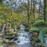 Buy canvas prints of Cray Gill, Wharfedale, Yorkshire Dales by Richard Laidler
