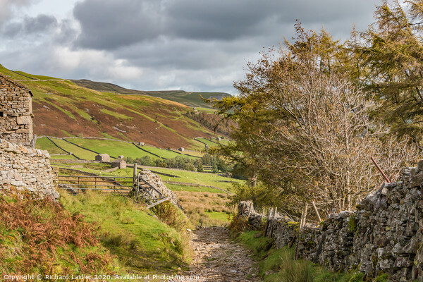 Down into Swaledale from Great Shunner Fell Picture Board by Richard Laidler