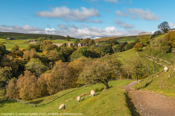 Autumn at Keld, Swaledale Picture Board by Richard Laidler