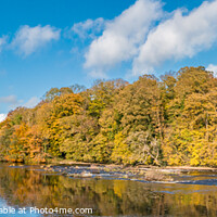 Buy canvas prints of Autumn Panorama on the Tees at Wycliffe by Richard Laidler