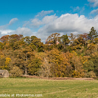 Buy canvas prints of Autumn Panorama at Whorlton, Teesdale by Richard Laidler