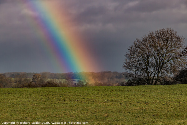 Double Rainbows End at Whorlton Picture Board by Richard Laidler
